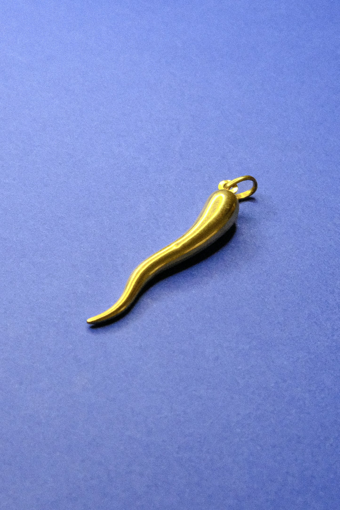 Vintage Gold Chilli Pepper / Horn of Life Charm